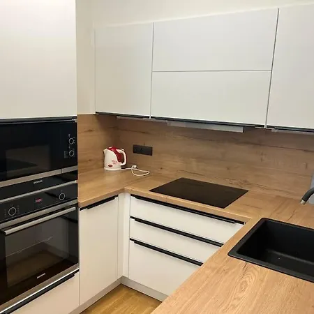 Apartament Holesovice,balkon,garaz Praga