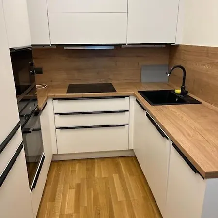 Apartament Holesovice,balkon,garaz *