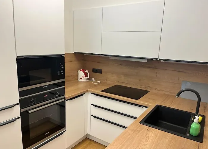 Apartmán Holesovice,balkon,garaz Praha