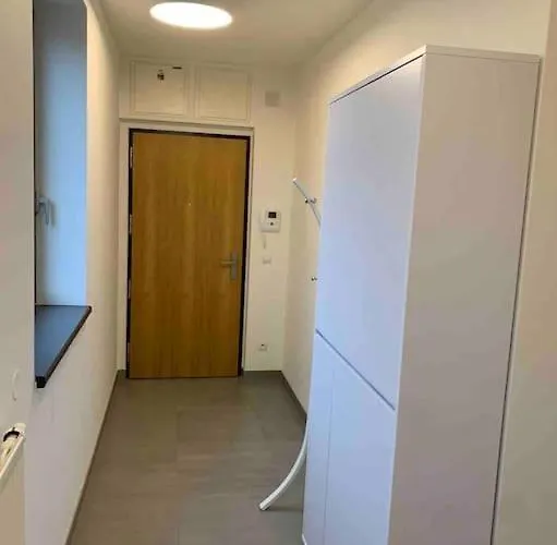 Apartmán Holesovice,balkon,garaz Praha