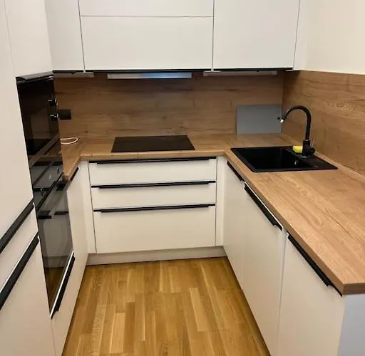 Apartmán Holesovice,balkon,garaz *